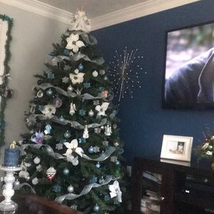 Meet your Posher, Sandra